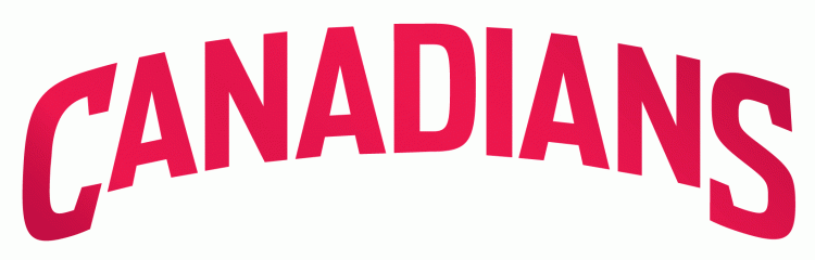 Vancouver Canadians 2008-2013 Wordmark Logo iron on transfers for clothing